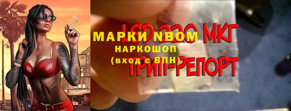 эйфоретик Аркадак