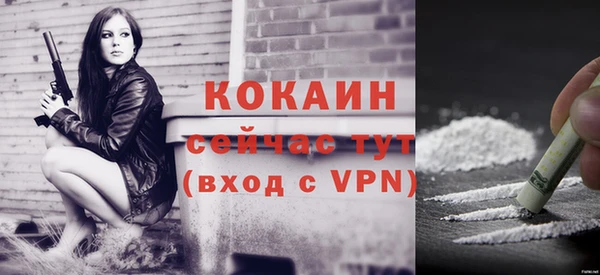 дурь Арсеньев